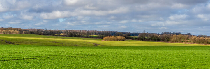 green meadow under cloudy sky on a summer day