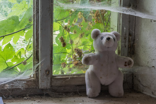 weisser teddybaer auf einem fensterbrett