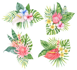 Lovely watercolor tropical bouquets set. Protea, Calla, Plumeria, Hibiscus, Aechmea flowers. Palm green leaves. Exotic floral compositions.

