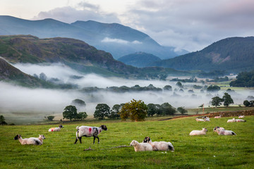 Fototapeta premium misty landscape from castlerigg, cumbra