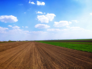 Plowed field in spring time with blue sky