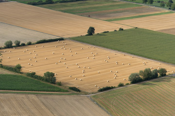 Luftbild: Felder und Wiesen-Landschaft