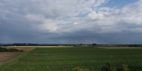Naklejka premium Felder und Wiesen-Landschaft an der hessischen Bergstrasse