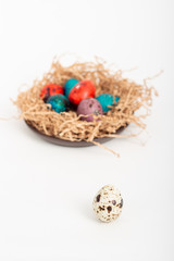Multi-colored quail eggs for Easter in the filler