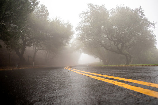Wet pavement on a rural road during a foggy day in winter. 