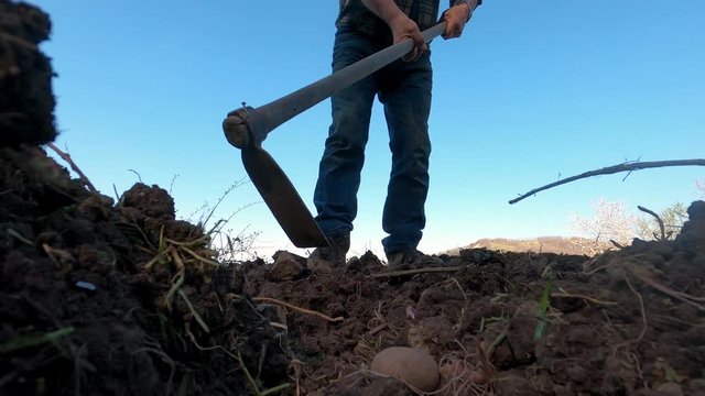 agricoltore semina del terreno