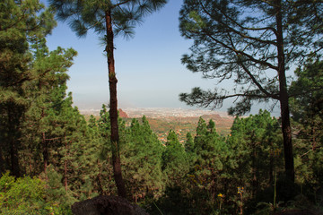 Obraz premium Ausblick ins Tal auf Teneriffa