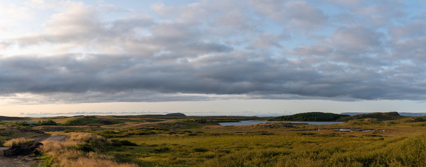 Panorama of a green landscape in Iceland