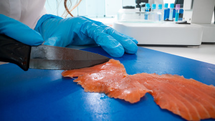 Inspection of meat and fish quality in the food quality laboratory