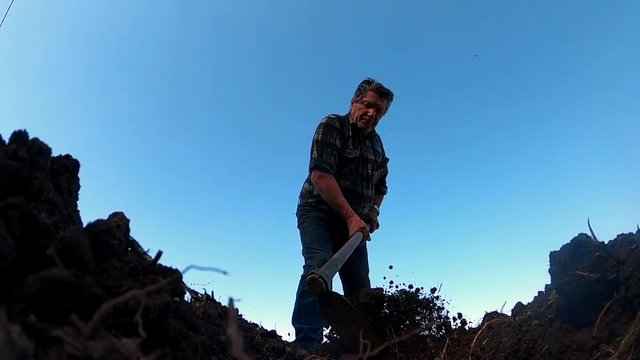 agricoltore semina orto