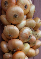 Onion bulbs bunch. Close-up.