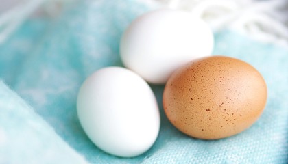 Easter uncolored white and brown eggs on a light blue background with flowers decoration