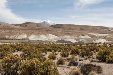 Vast Andean desert landscape with lightly smoking volcano in the background