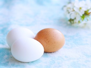 Easter uncolored white and brown eggs on a light blue background with flowers decoration