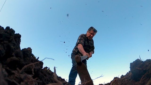 AGRICOLTORE SEMINA ORTO