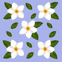 Obraz premium Pattern White flowers for using in design wallpaper, textile