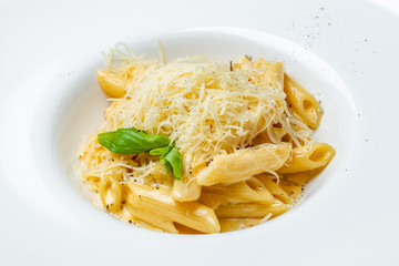 Penne four cheese on white plate