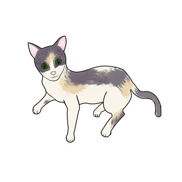 Single illustration little cute kitten of gray beige color, which lies