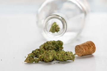 Cannabis is a natural drug derived from the plant of the same name.