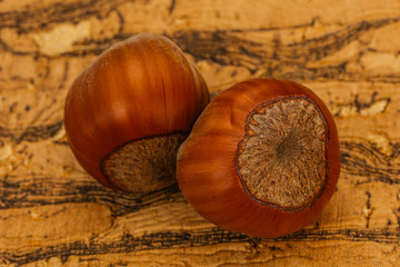 Two ripe tasty Whole hazelnut