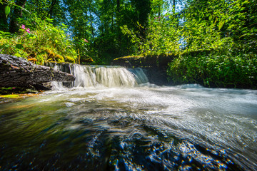 waterfall in the forest