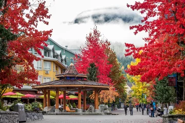 Peel and stick wall murals Canada whistler in autumn, british columbia, canada
