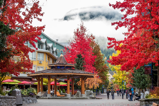 Whistler In Autumn, British Columbia, Canada