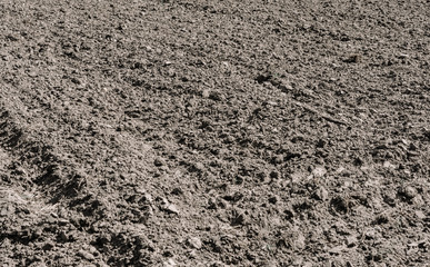 plowed field background