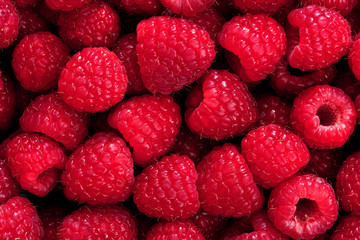 Raspberry background