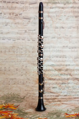 music woodwind instrument - miniature clarinet on a beautiful background