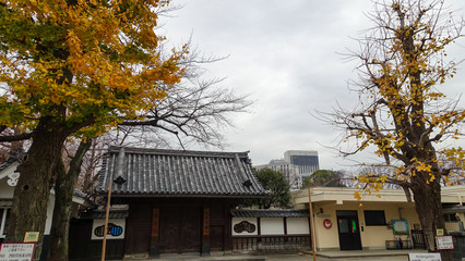 tempel japan