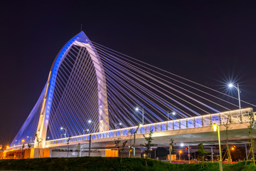 Nightscape of new landmark Konan Ai-Qin Bridge in Taichung City, Taichung Central Park at the Xitun District Shuinan Economic and Trade Area. The second largest park in Taiwan
