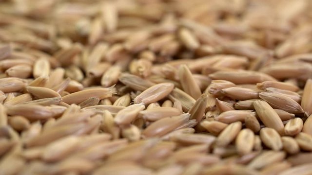 gluten free oat grain, low angle view on turntable, healthy eating concept