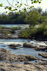 Isteiner Schwellen im Frühling