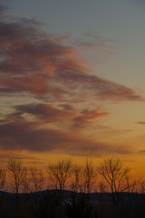 Obraz premium Sunset with Orange and Purple Wispy Clouds in Sky with Trees in Foreground