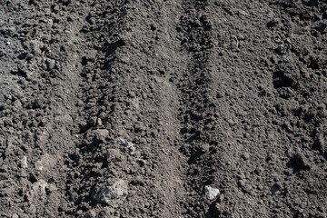  dry land. garden planting seeds Close-up, concept gardening, yard work