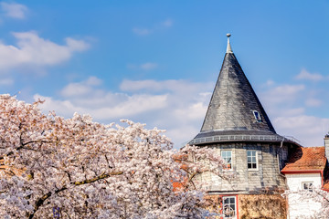 Das Türmchen in Hofheim am Taunus zum Frühlingsanfang