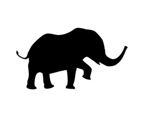 Creative design of elephant walking illustration