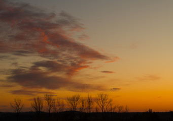 Sunset with Orange and Purple Wispy Clouds in Sky with Trees in Foreground