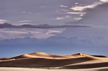 Fototapeta na wymiar golden sand dunes on a background of blue sky at sunset.