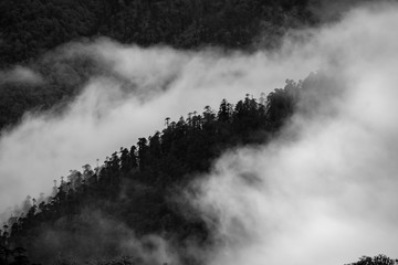 a beautiful mountain view with fog and clouds