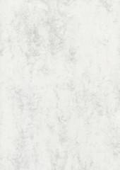 Paper Texture White
