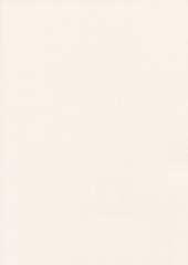 Paper Texture White Cream