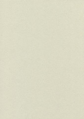 Paper Texture 