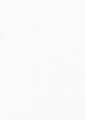 Paper Texture White