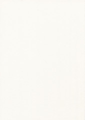 Paper Texture Light Grey