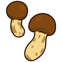 Fototapeta premium Illustration of outlined matsutake mushroom