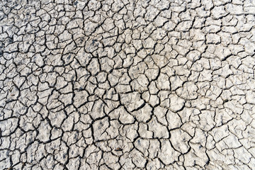 Cracked mud