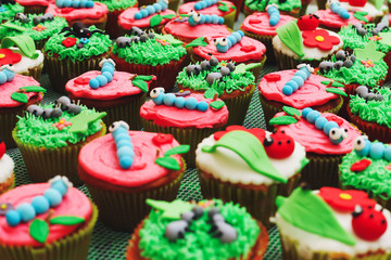 Cupcakes with caterpillar or insects decoration for kids birthday party