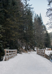 wooden bridge covered with snow in winter park mountain park with pines